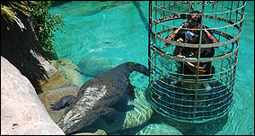 Cango Wildlife Ranch